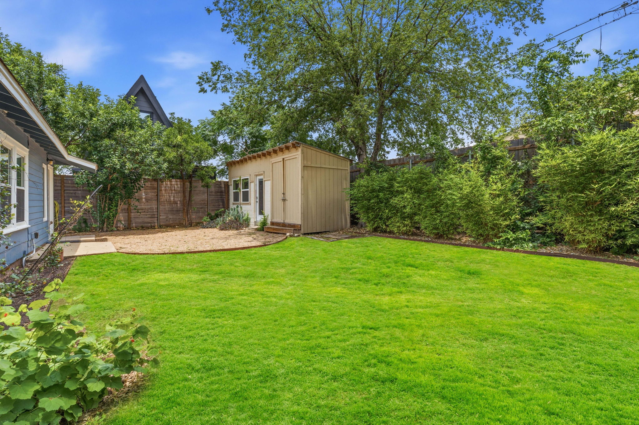 900 Stark Street Austin, TX 78756 - Photo 24 of 25 A verdant lawn creates a peaceful backyard retreat, complemented by a charming shed and mature trees.
