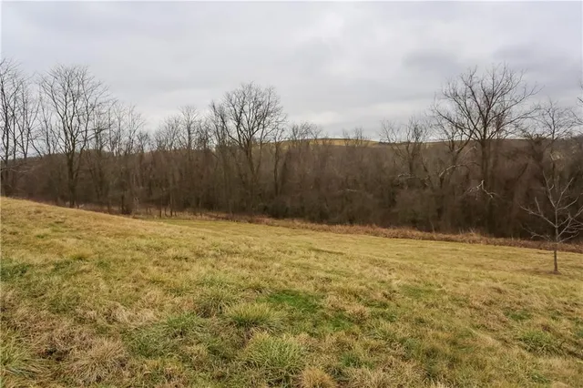 a view of yard with trees