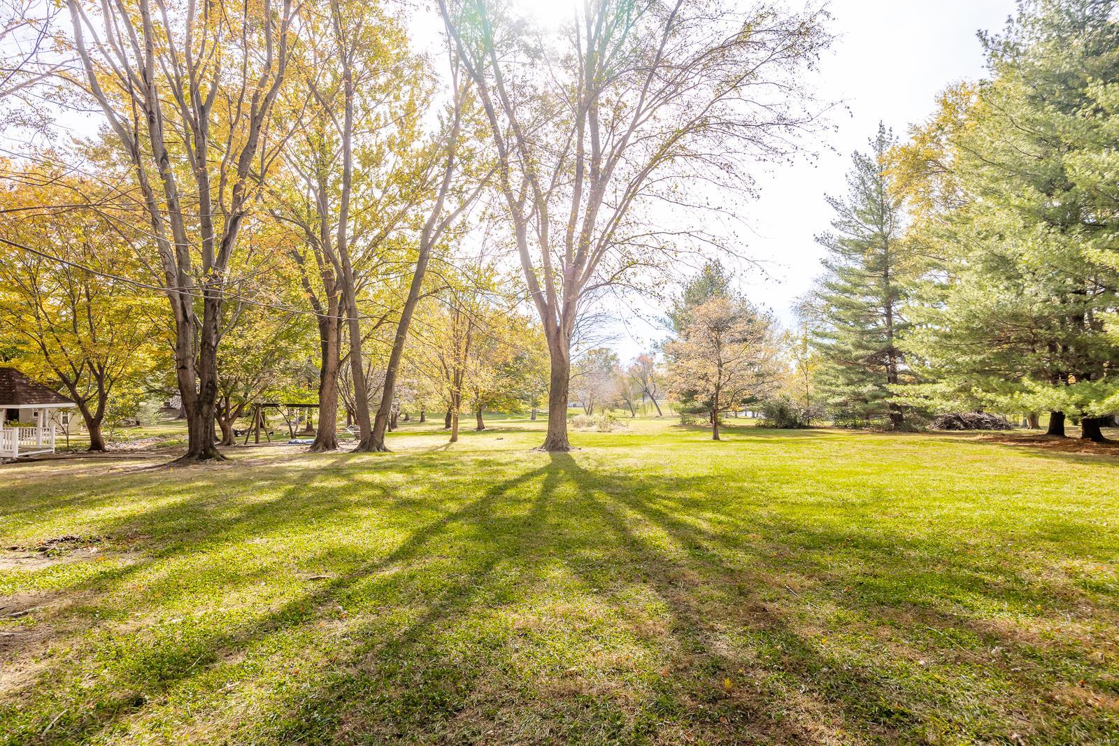 511 Covered Bridge Lane Belleville, IL 62221 - Photo 54 of 58