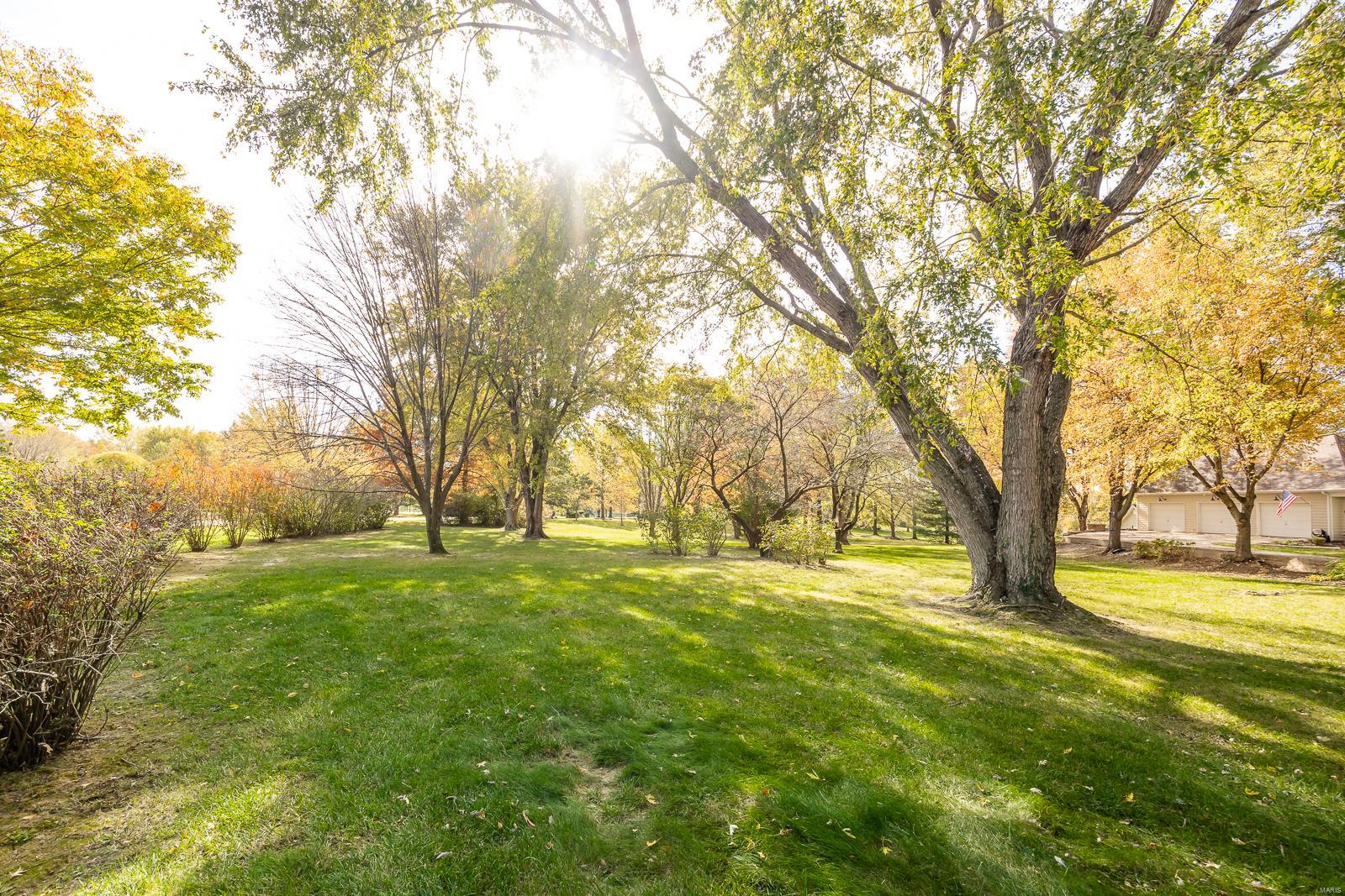 511 Covered Bridge Lane Belleville, IL 62221 - Photo 57 of 58