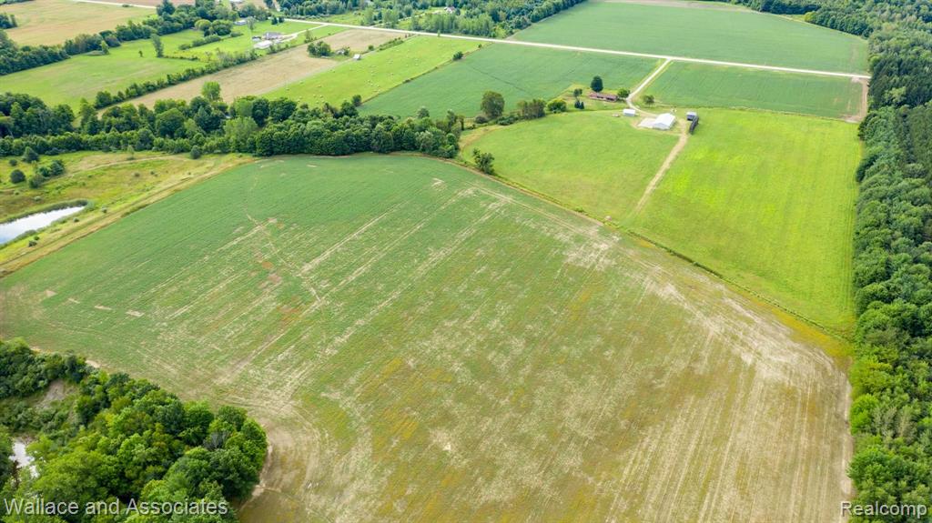 V/l Imlay City Road Avoca, MI 48006 - Photo 11 of 12