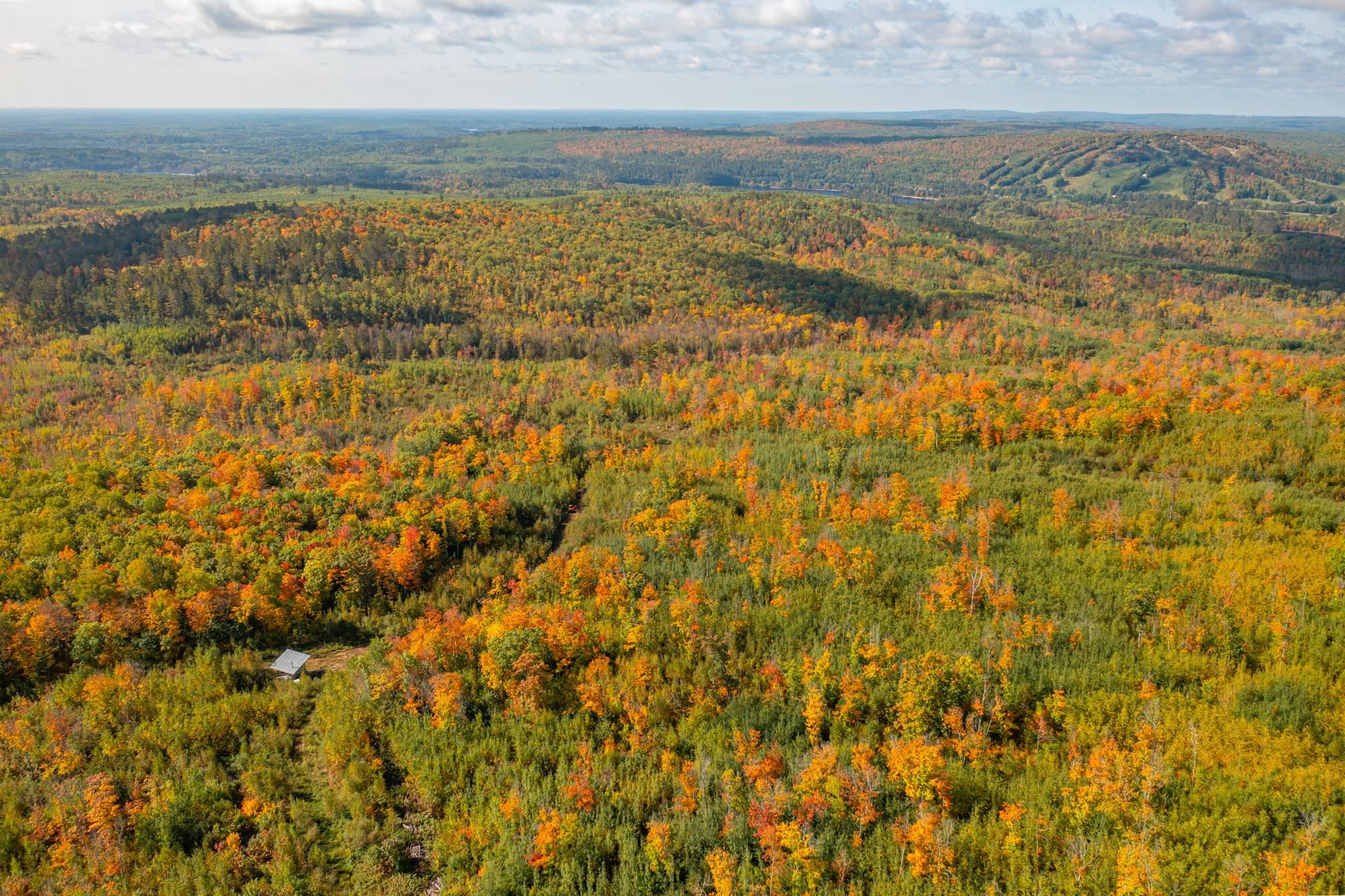 135 Biwabik Mn 55708 Embarrass, MN 55732 - Photo 2 of 42
