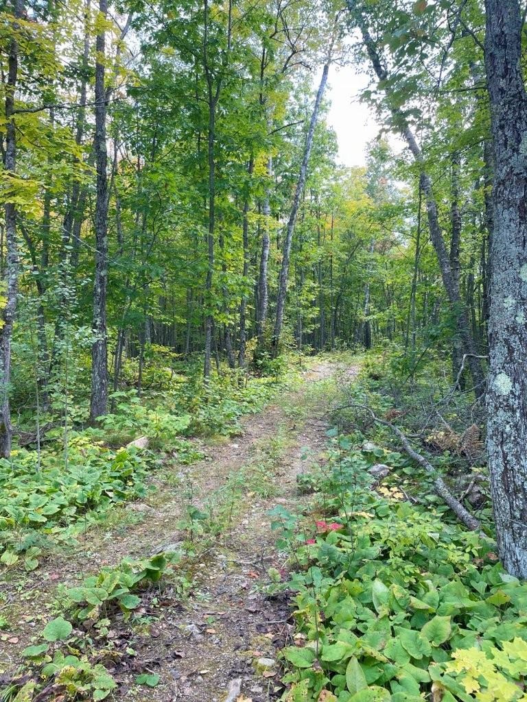 135 Biwabik Mn 55708 Embarrass, MN 55732 - Photo 25 of 42 Cut Trails