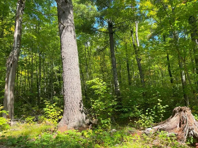 $162,000 | 135 Biwabik Mn 55708, Embarrass, MN 55732