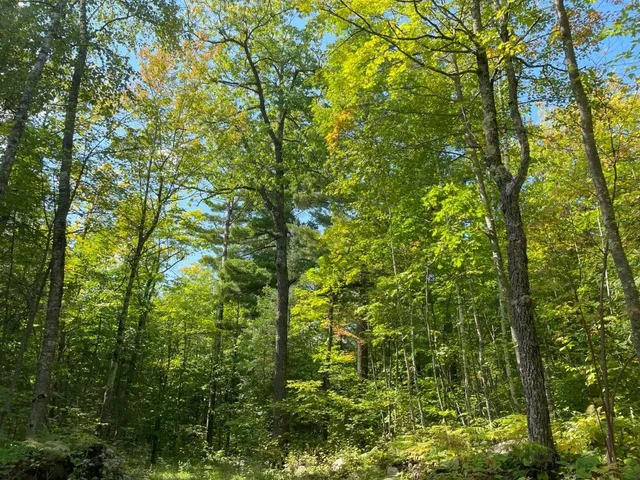 $162,000 | 135 Biwabik Mn 55708, Embarrass, MN 55732