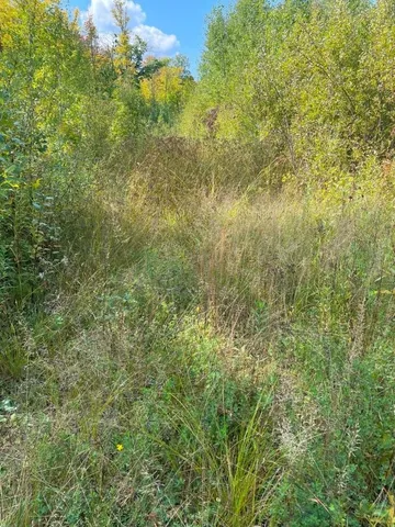 $162,000 | 135 Biwabik Mn 55708, Embarrass, MN 55732