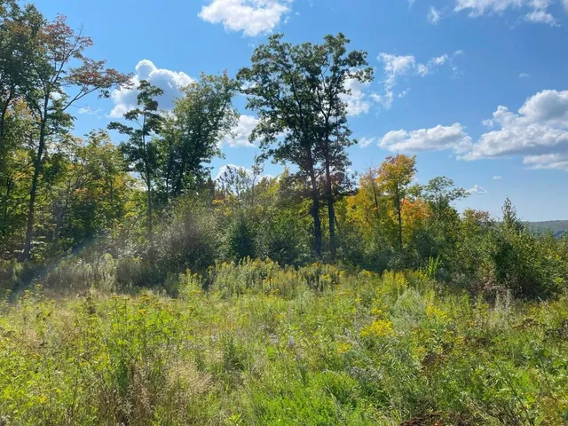 $162,000 | 135 Biwabik Mn 55708, Embarrass, MN 55732