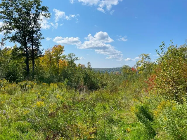 $162,000 | 135 Biwabik Mn 55708, Embarrass, MN 55732