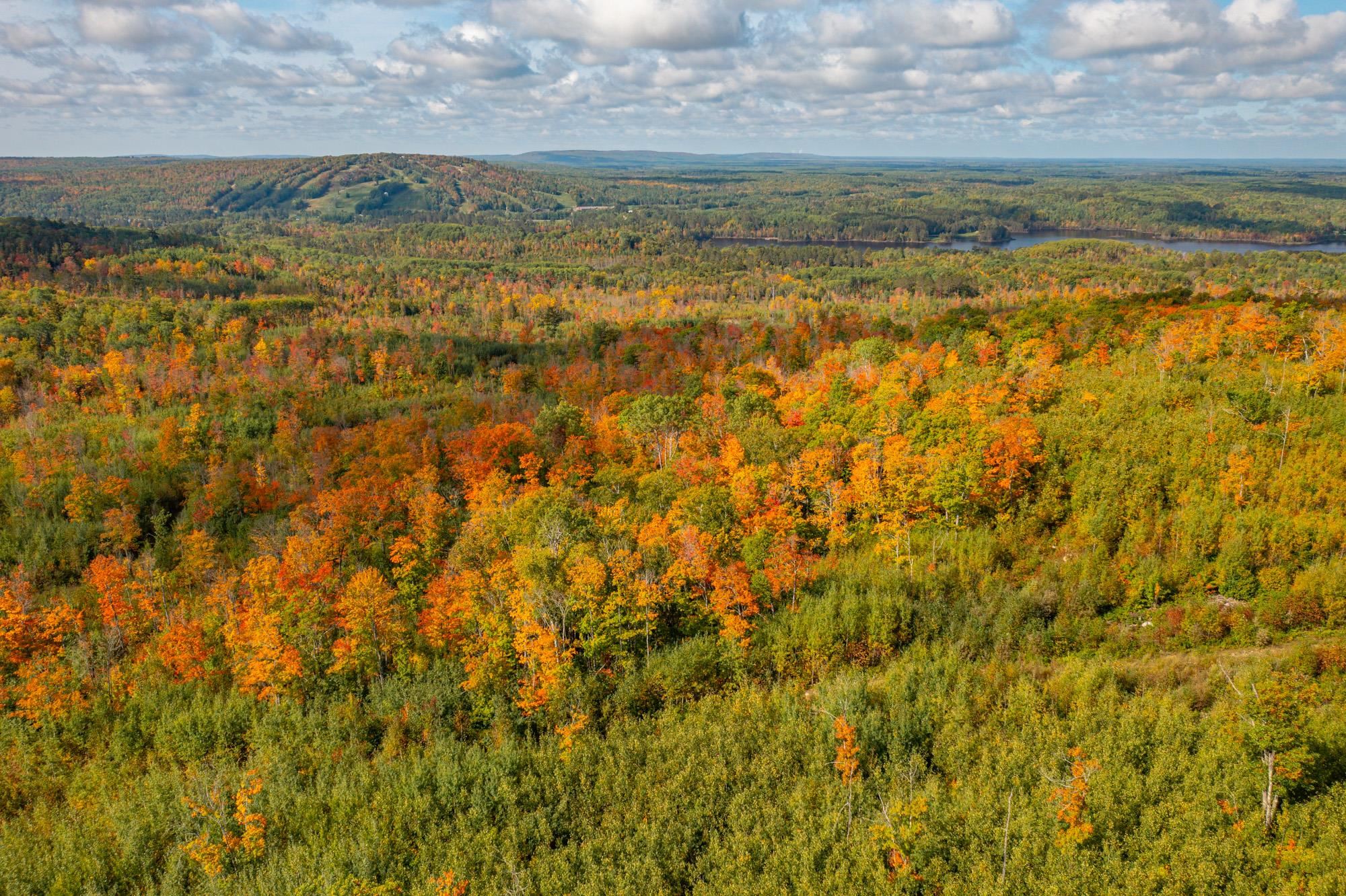 135 Biwabik Mn 55708 Embarrass, MN 55732 - Photo 35 of 42