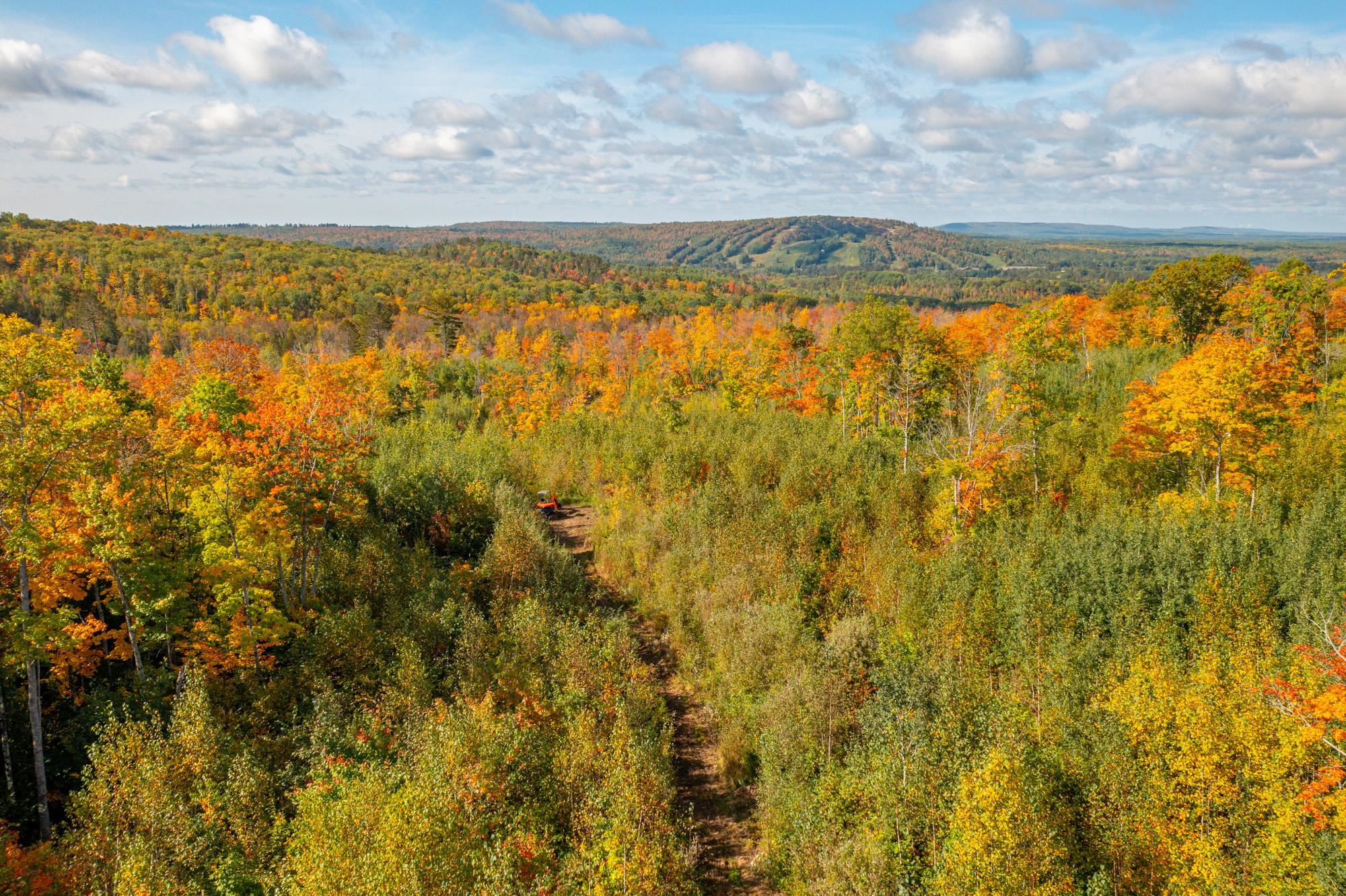 135 Biwabik Mn 55708 Embarrass, MN 55732 - Photo 36 of 42