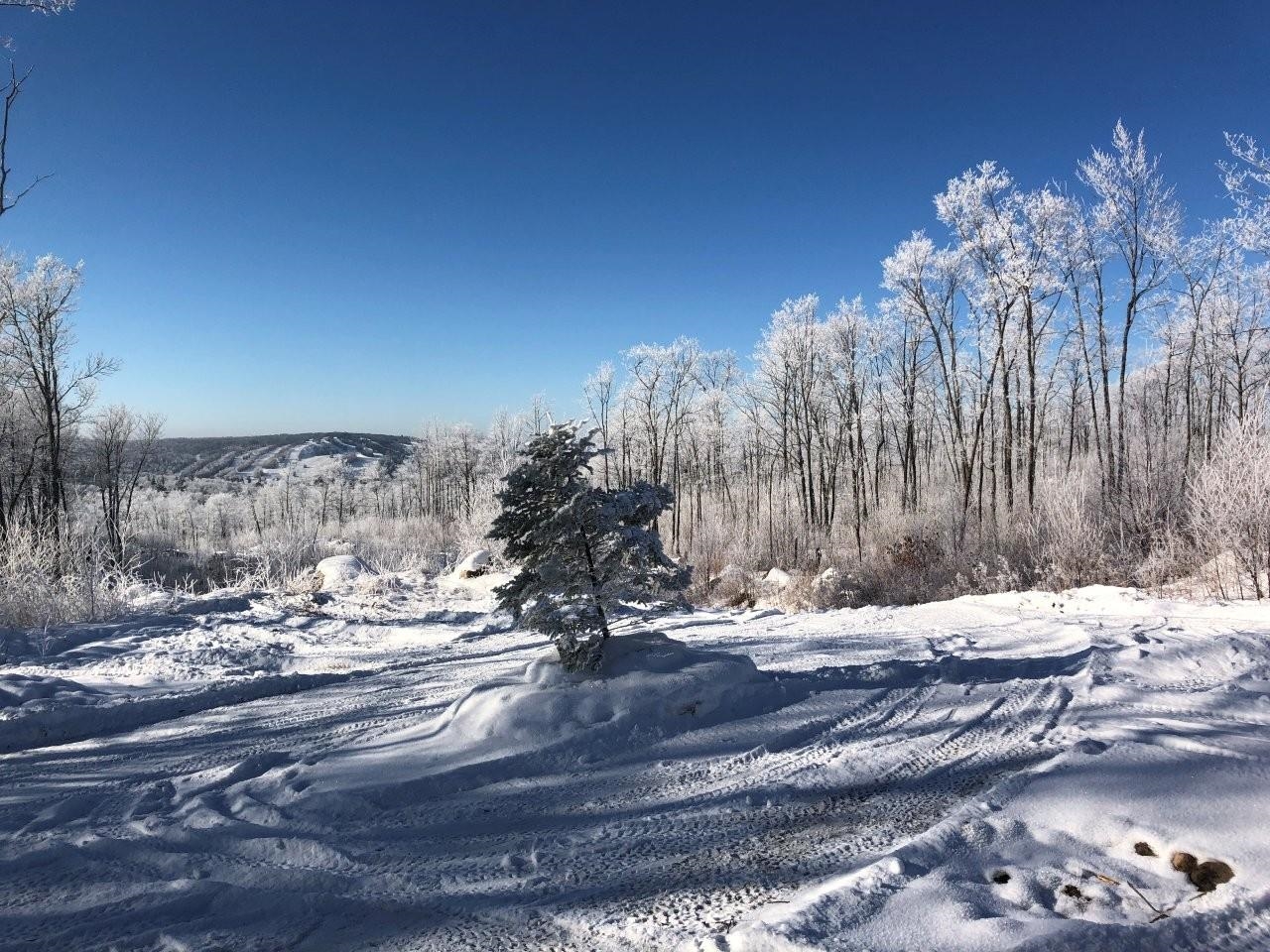 135 Biwabik Mn 55708 Embarrass, MN 55732 - Photo 42 of 42 Year Round Play Ground