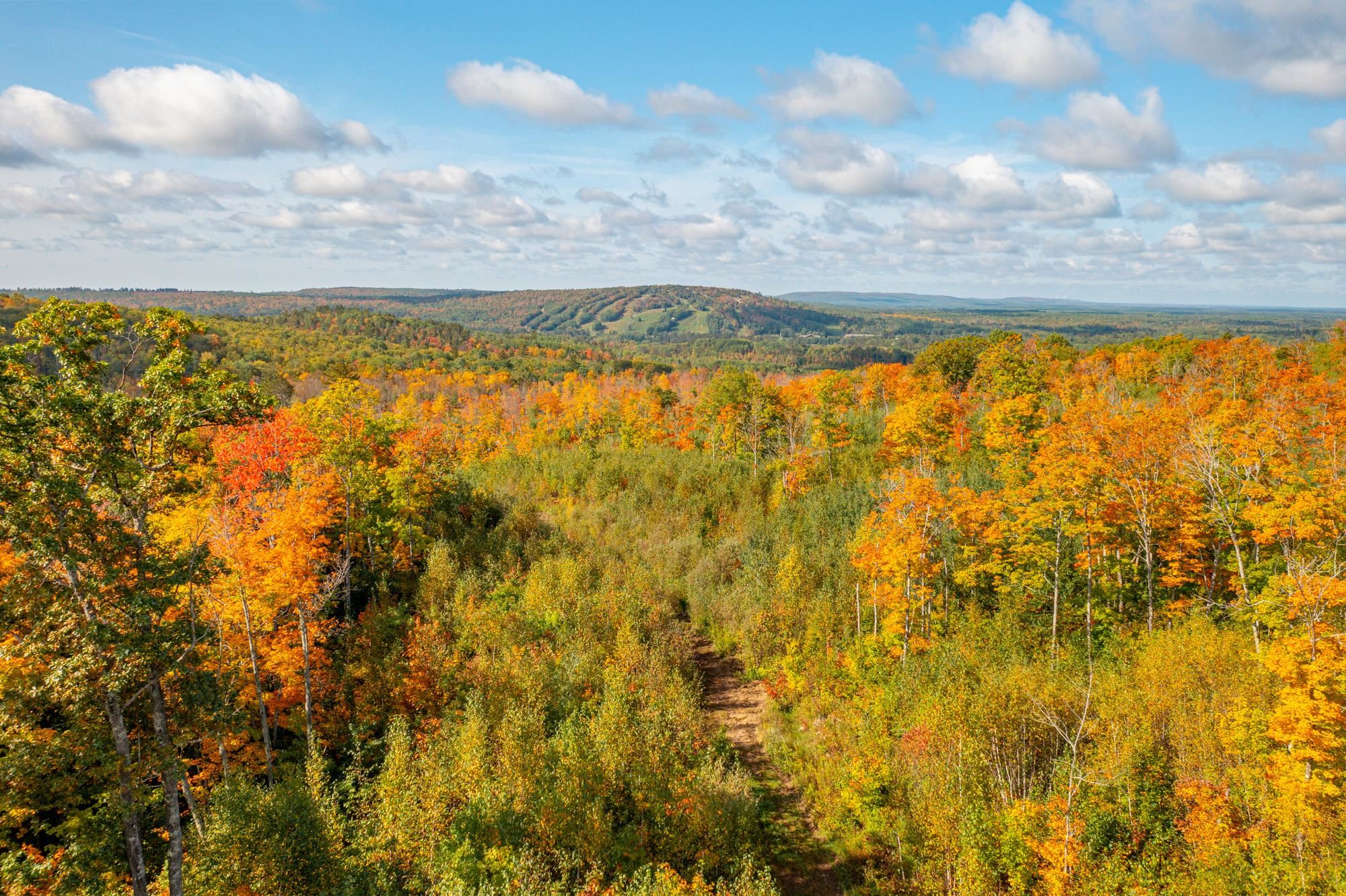 135 Biwabik Mn 55708 Embarrass, MN 55732 - Photo 8 of 42