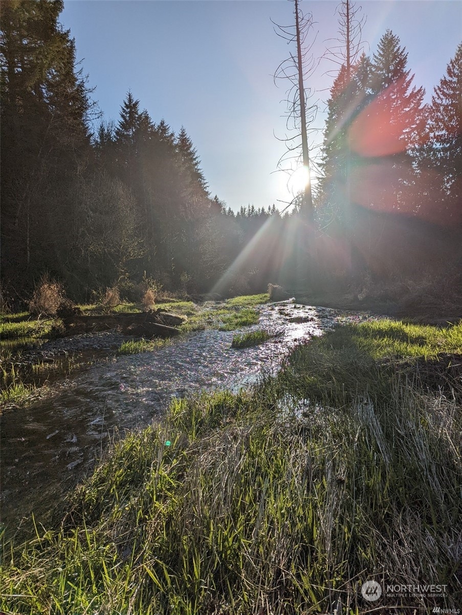 465-29 Sargent Road Winlock, WA 98596 - Photo 11 of 25 a view of a backyard of a house