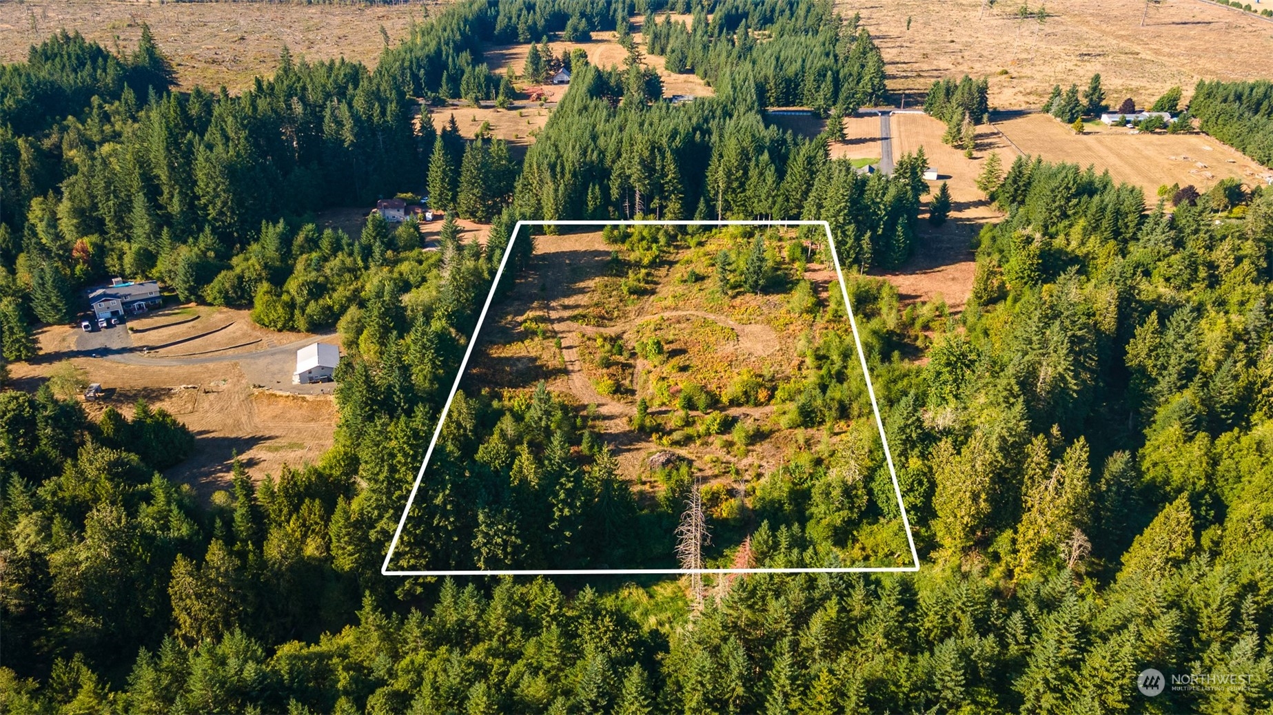 465-29 Sargent Road Winlock, WA 98596 - Photo 14 of 25 a view of a yard