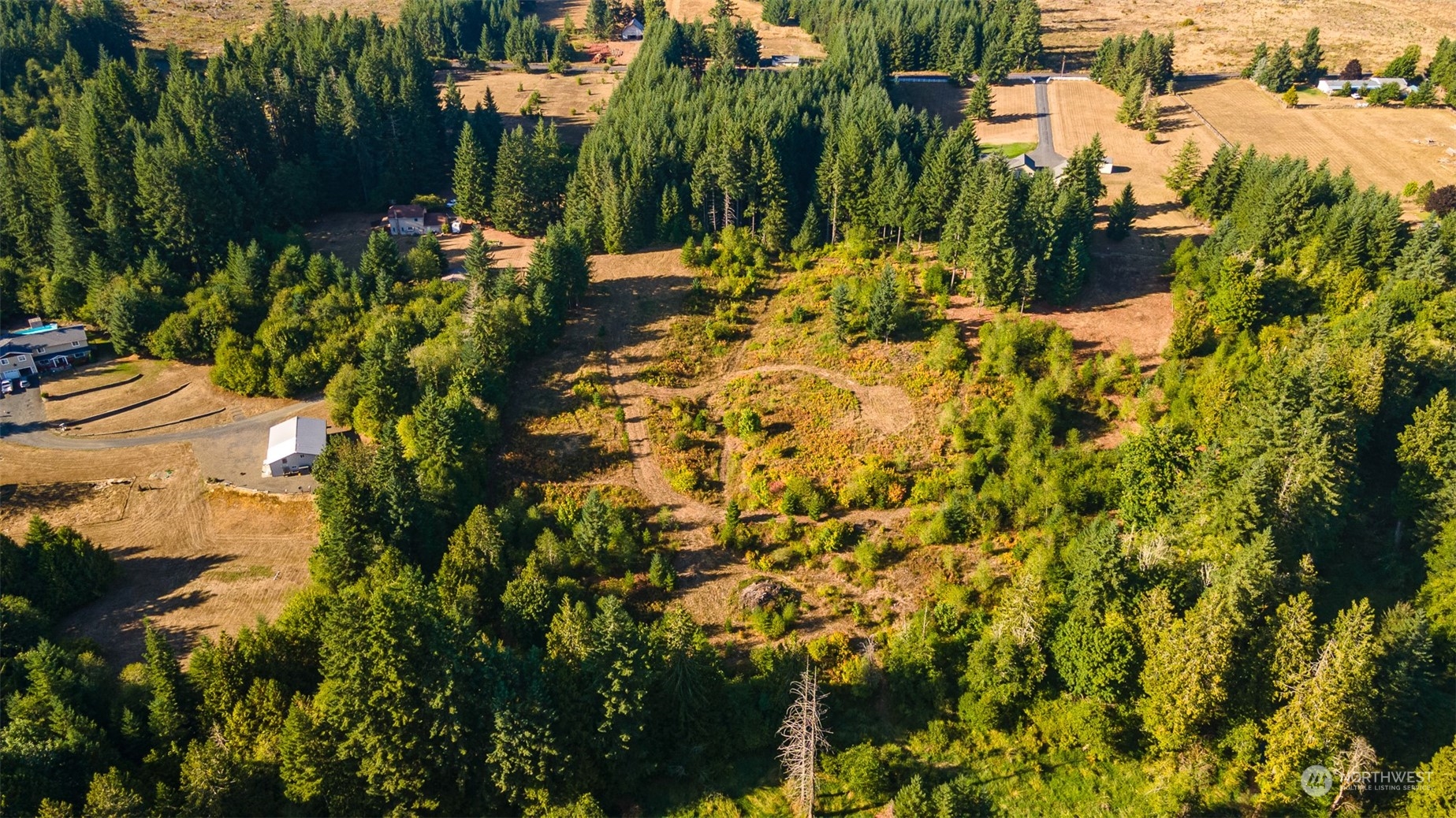 465-29 Sargent Road Winlock, WA 98596 - Photo 19 of 25 a view of a yard