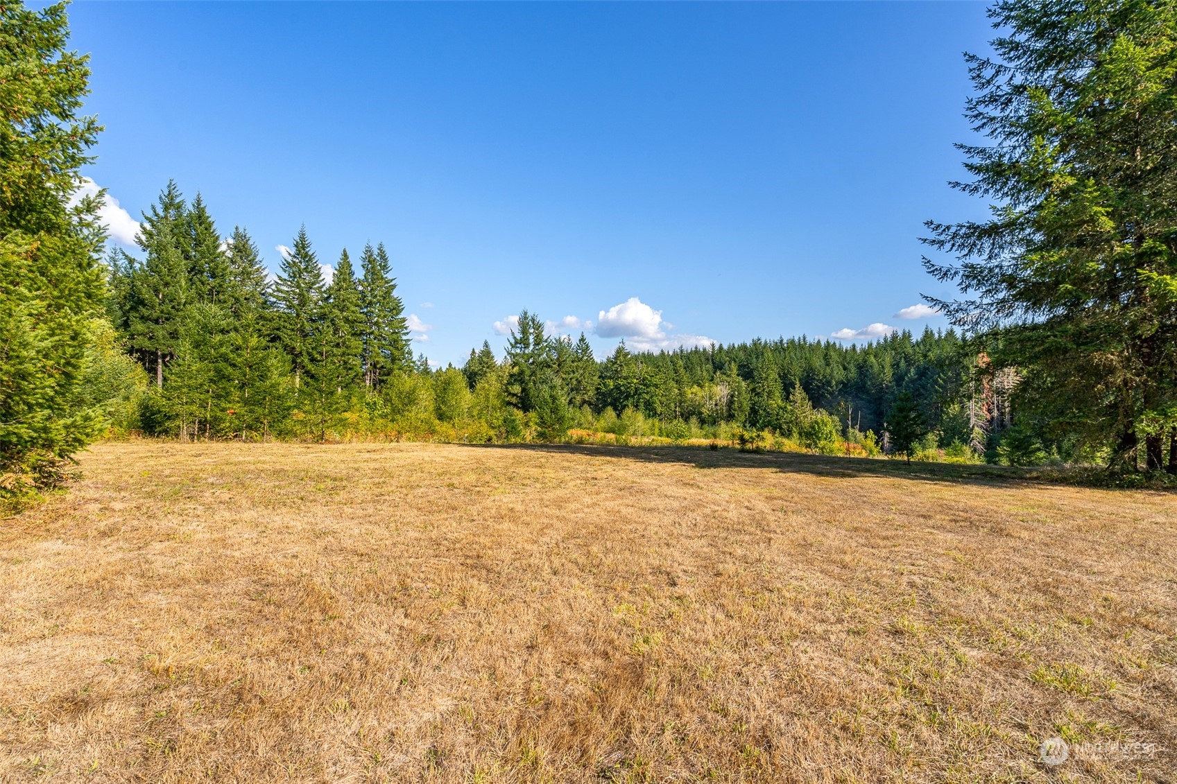 465-29 Sargent Road Winlock, WA 98596 - Photo 2 of 25 a view of a field with trees in the background