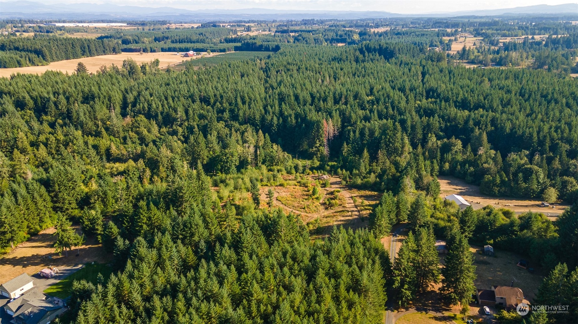 465-29 Sargent Road Winlock, WA 98596 - Photo 21 of 25 an aerial view of residential houses with outdoor space and trees
