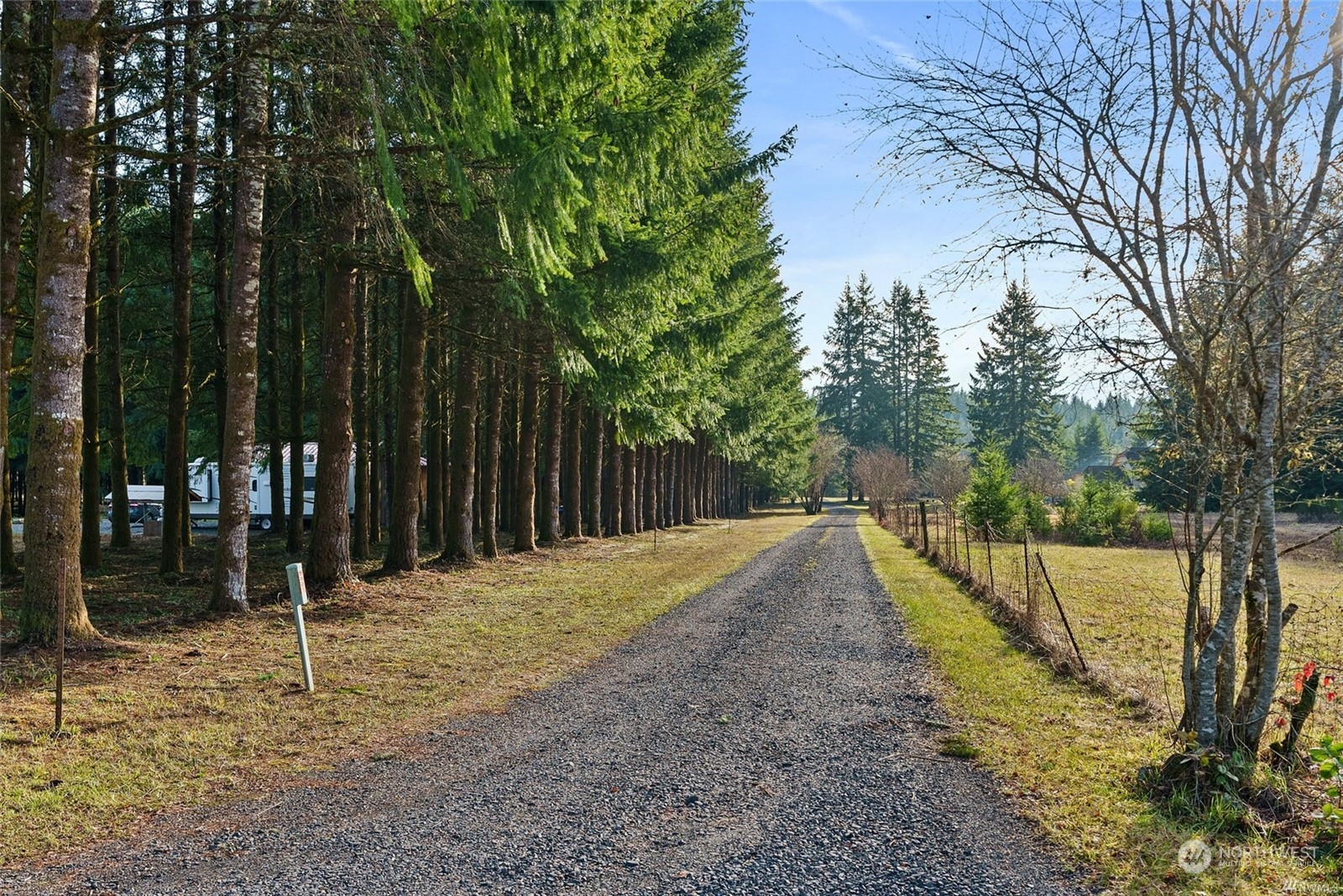 465-29 Sargent Road Winlock, WA 98596 - Photo 22 of 25 a view of a backyard with large trees