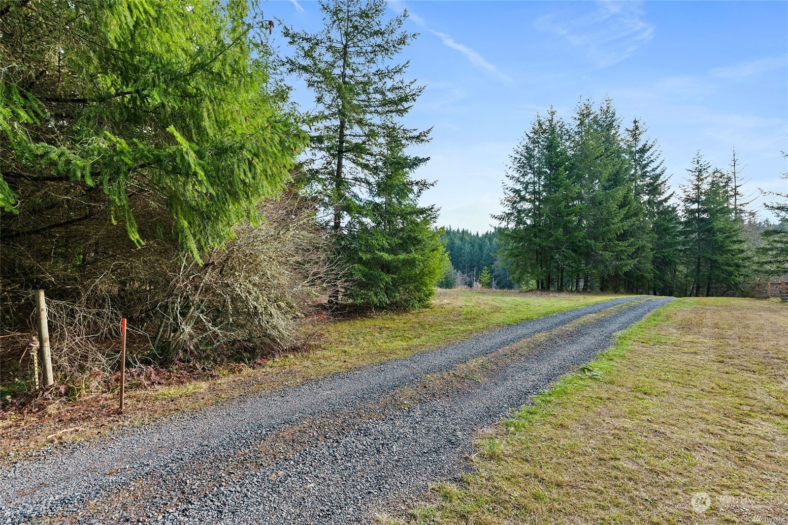 465-29 Sargent Road Winlock, WA 98596 - Photo 24 of 25 a view of a yard with plants and trees
