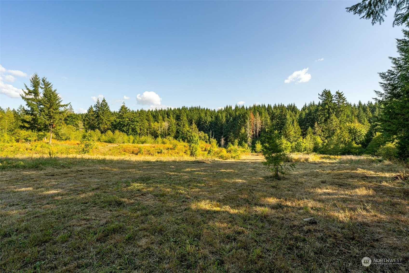 465-29 Sargent Road Winlock, WA 98596 - Photo 3 of 25 a view of an ocean