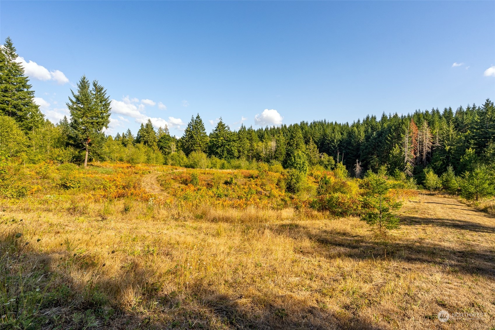 465-29 Sargent Road Winlock, WA 98596 - Photo 5 of 25 a view of lake view and mountain view
