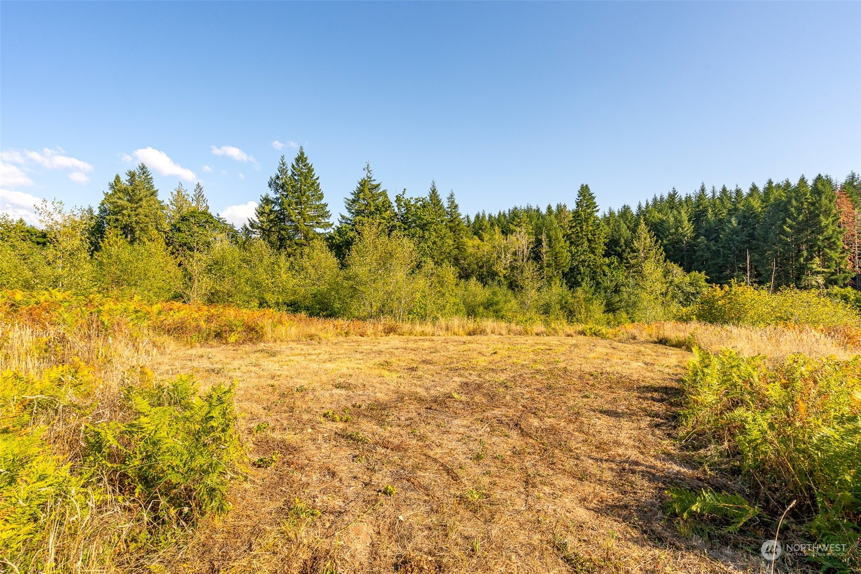 465-29 Sargent Road Winlock, WA 98596 - Photo 8 of 25 a view of ocean