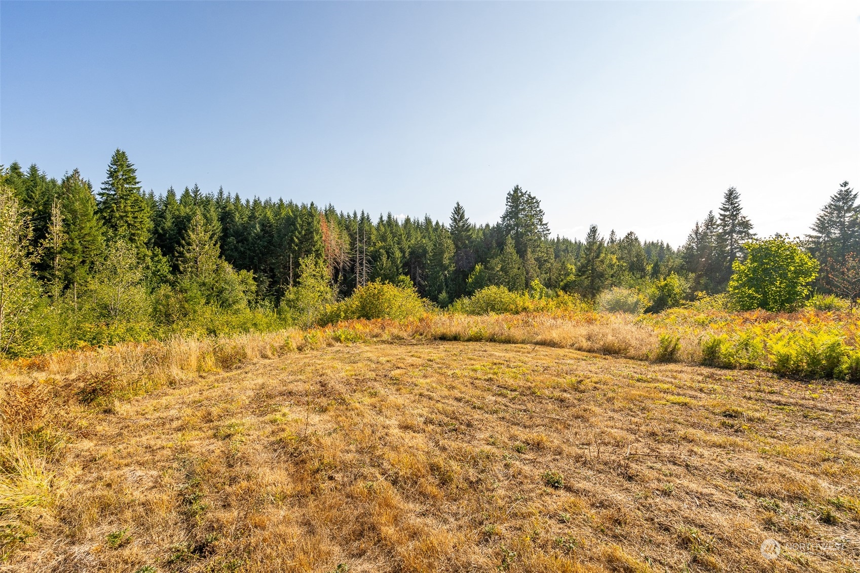 465-29 Sargent Road Winlock, WA 98596 - Photo 9 of 25 a big yard with lots of green space and fog