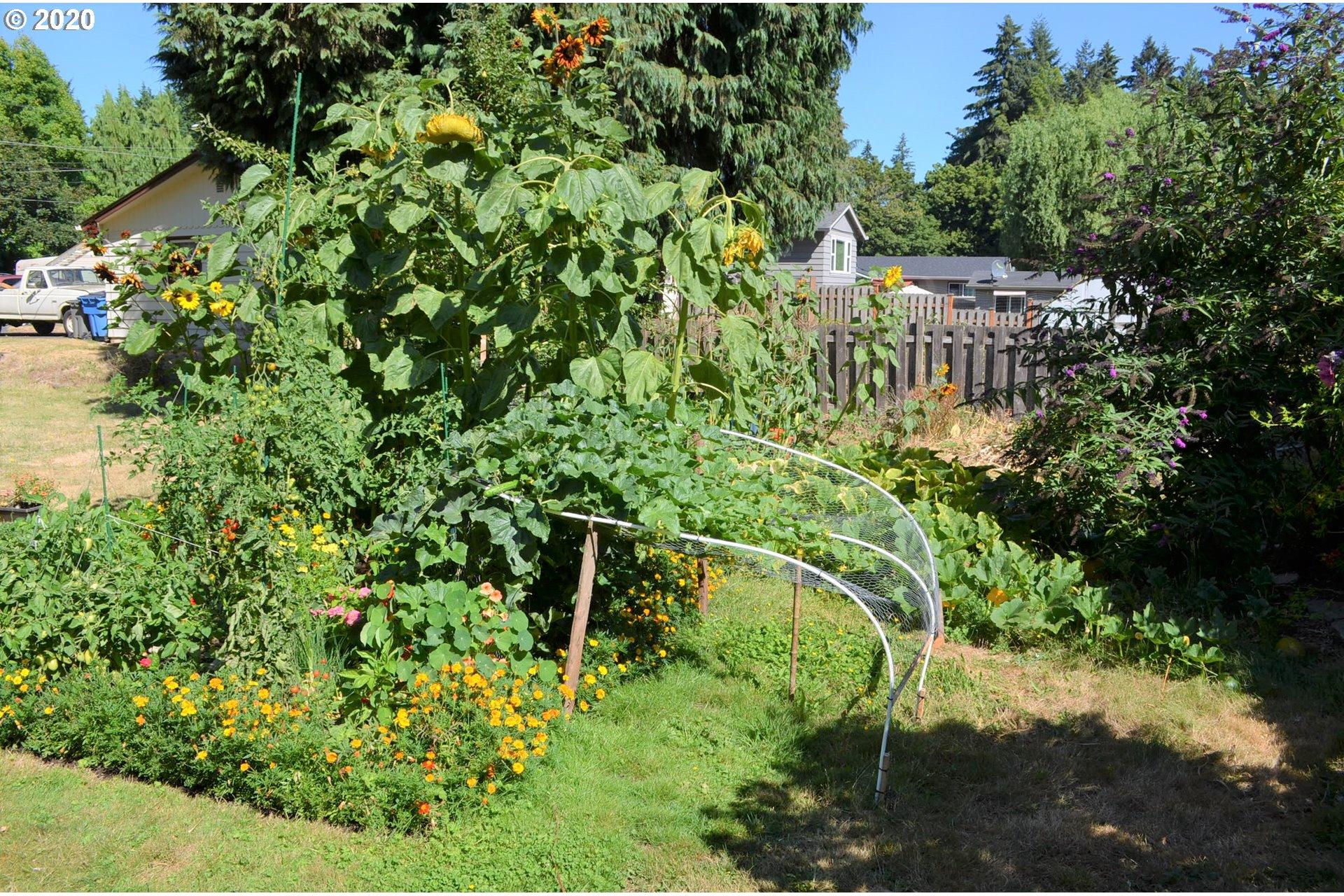 0 North 4th Avenue Ridgefield, WA 98642 - Photo 6 of 9 Gallery Image 6