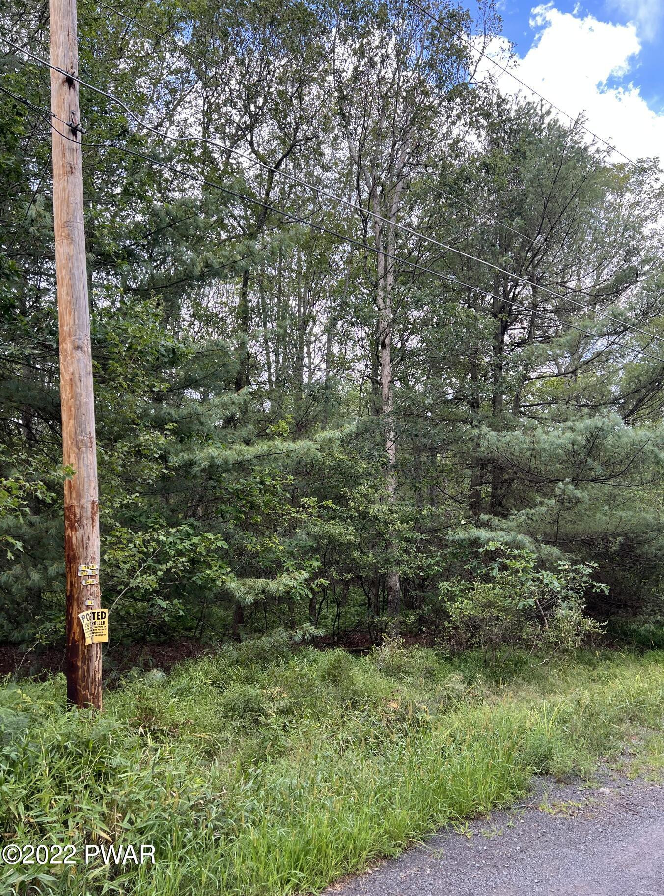 Lot 4 Fox Rdg Pk Drive Hawley, PA 18428 - Photo 4 of 7