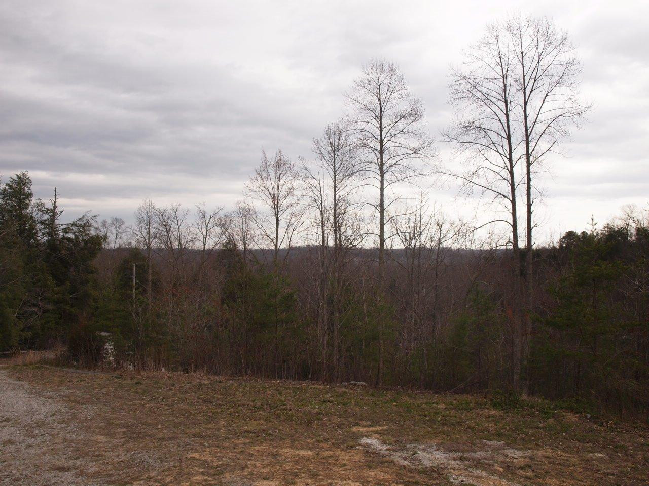 509 Hawk Ridge Road London, KY 40741 - Photo 6 of 19 Photo 6