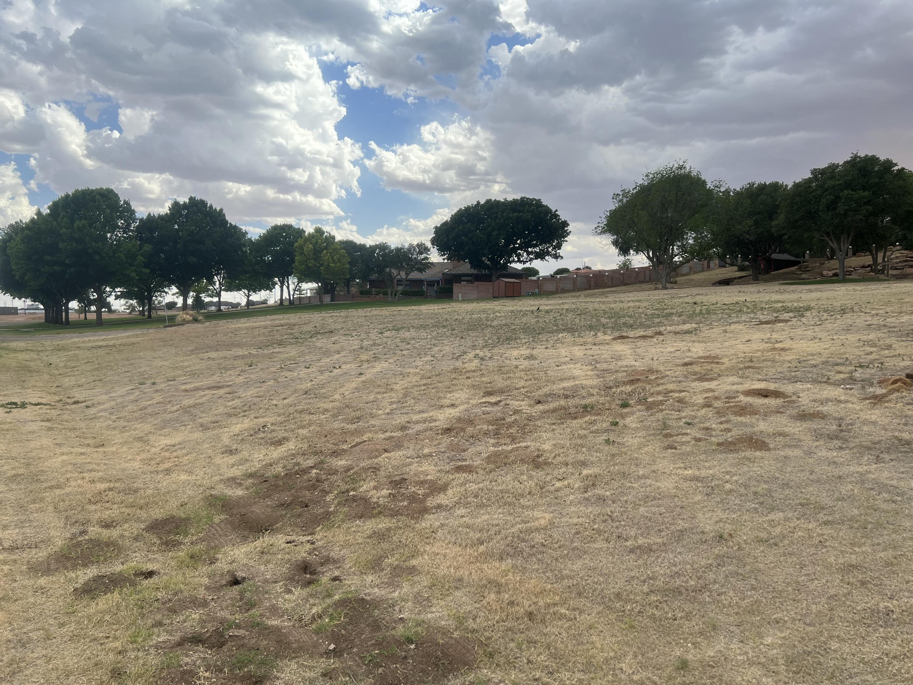 411 Mill Road Lubbock, TX 79403 - Photo 3 of 3