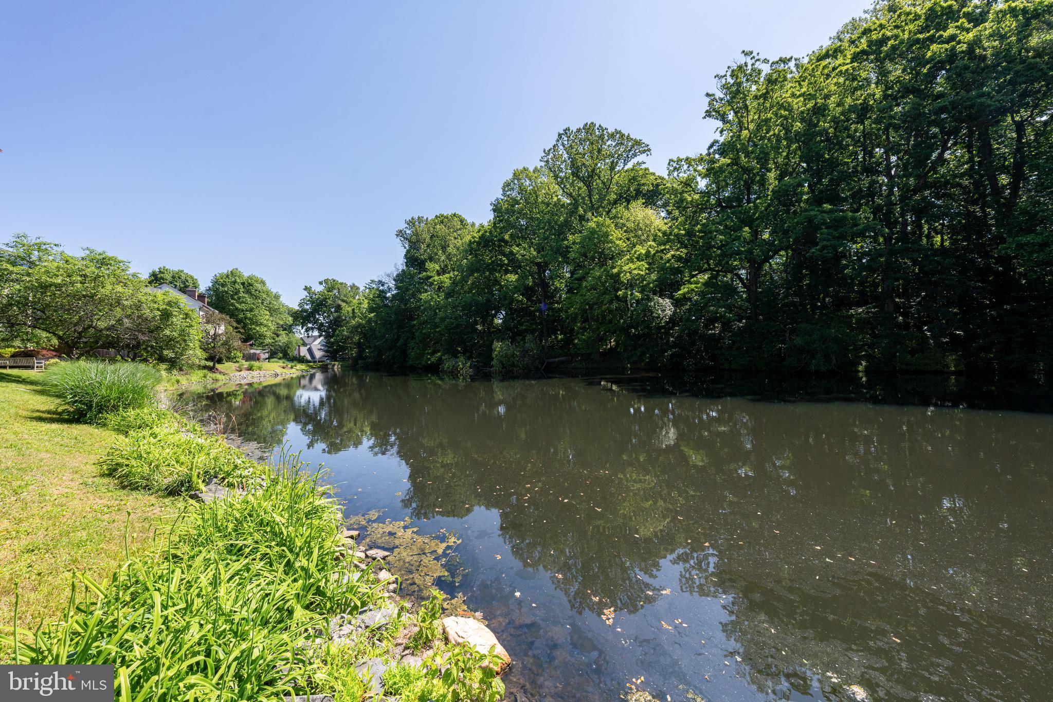 7216 Evans Mill Road McLean, VA 22101 - Photo 44 of 56 Pond