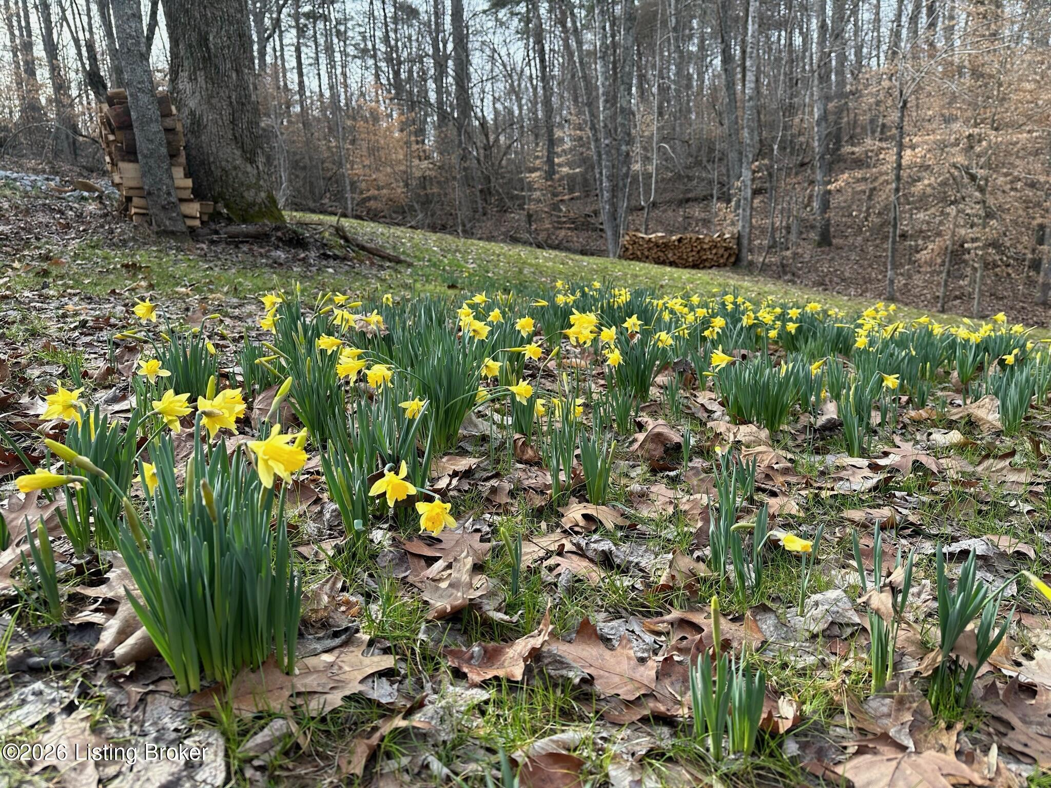 1010 Lone Oak Road Clarkson, KY 42726 - Photo 10 of 26 1010 LoneOak flowers