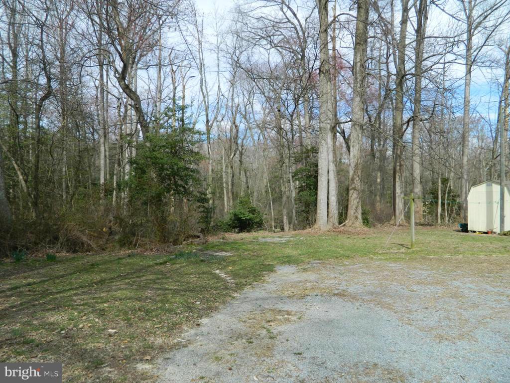 13306 River Road Ridgely, MD 21660 - Photo 26 of 29 View