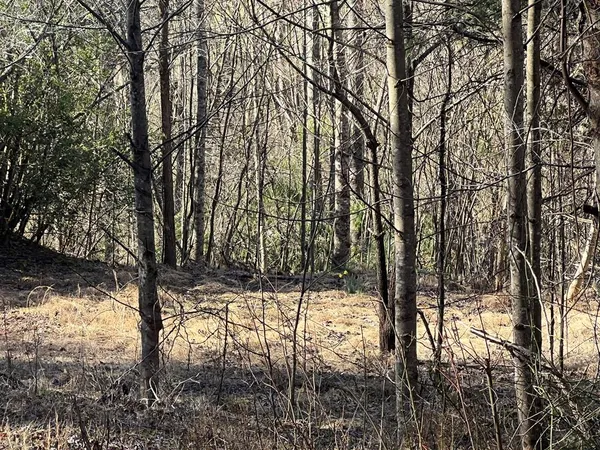 $15,000 | Lot 59 Mountain Harbour, Hayesville, NC 28904