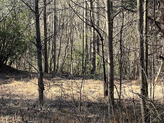 $20,000 | Lot 59 Mountain Harbour, Hayesville, NC 28904