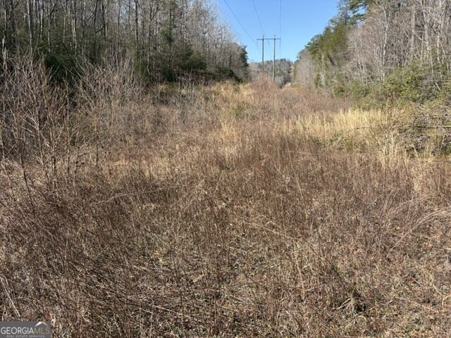 343 Hank Fry Road Clarkesville, GA 30523 - Photo 13 of 25 Gallery Image 13