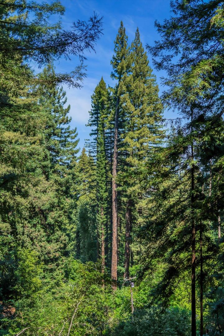 12 Summit Road Woodside, CA 94062 - Photo 39 of 44