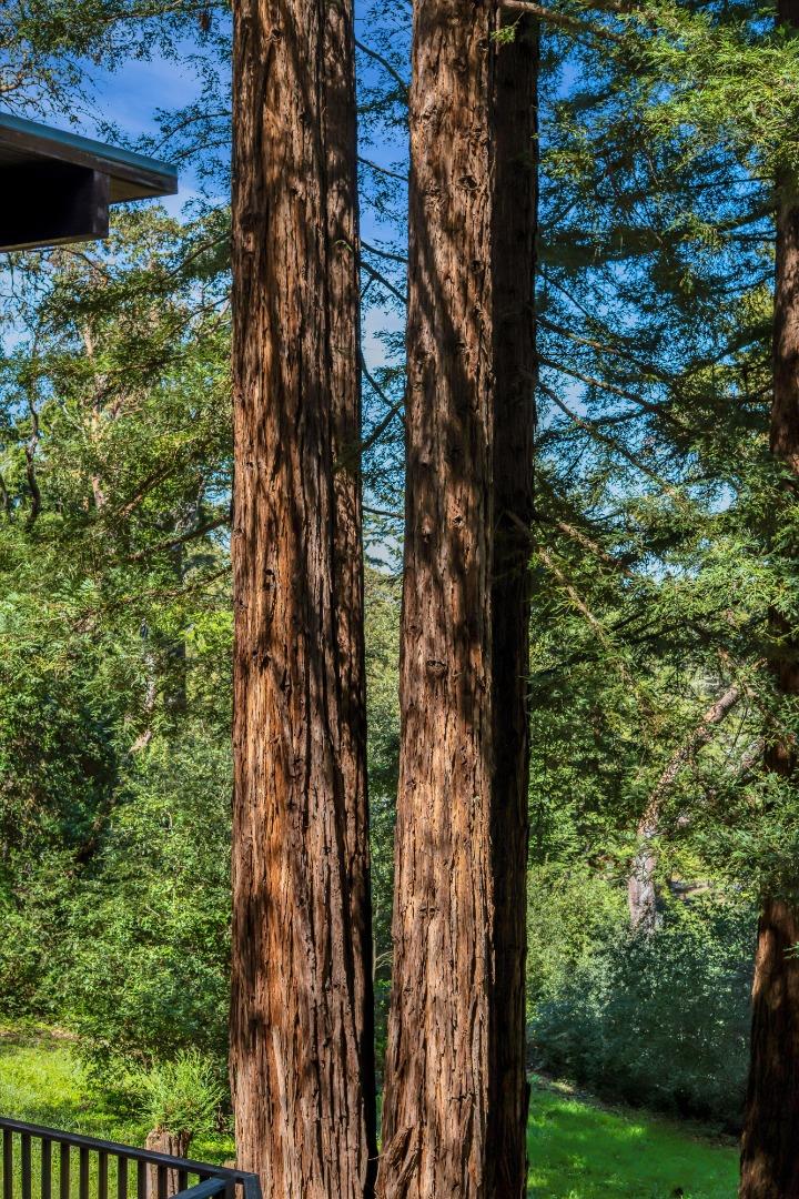 12 Summit Road Woodside, CA 94062 - Photo 40 of 44