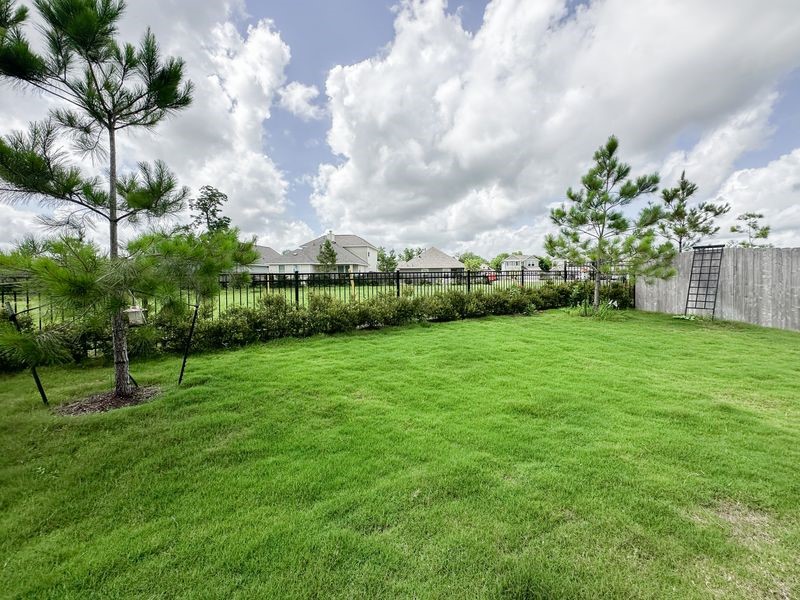 33023 School Hl Road Fulshear, TX 77441 - Photo 38 of 38 Beautiful back yard
