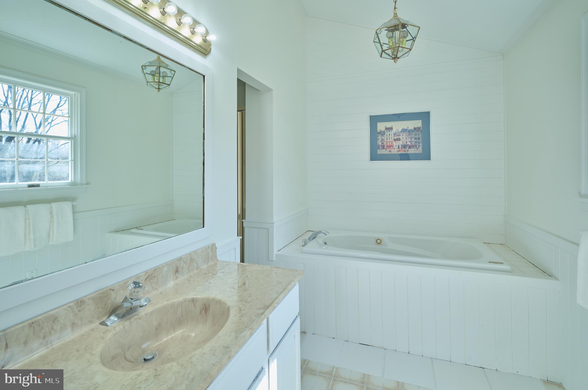 6724 Upper York Road New Hope, PA 18938 - Photo 20 of 40 a bathroom with a tub a sink and mirror