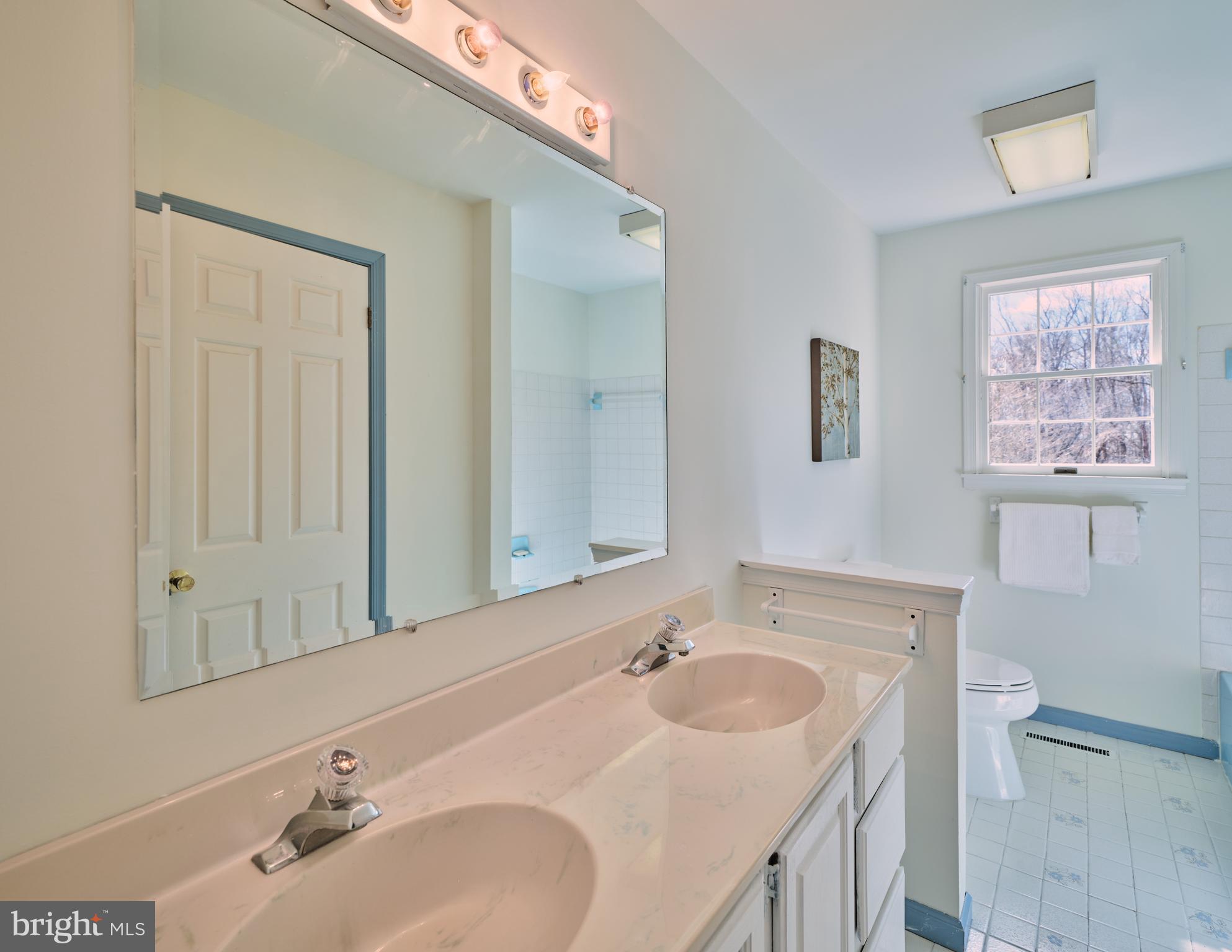 6724 Upper York Road New Hope, PA 18938 - Photo 26 of 40 a bathroom with 2 sink and a mirror