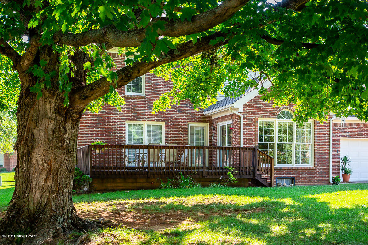1416 Twin Ridge Road Louisville, KY 40242 - Photo 39 of 42 gorgeous tree canopy offers great shade for the deck