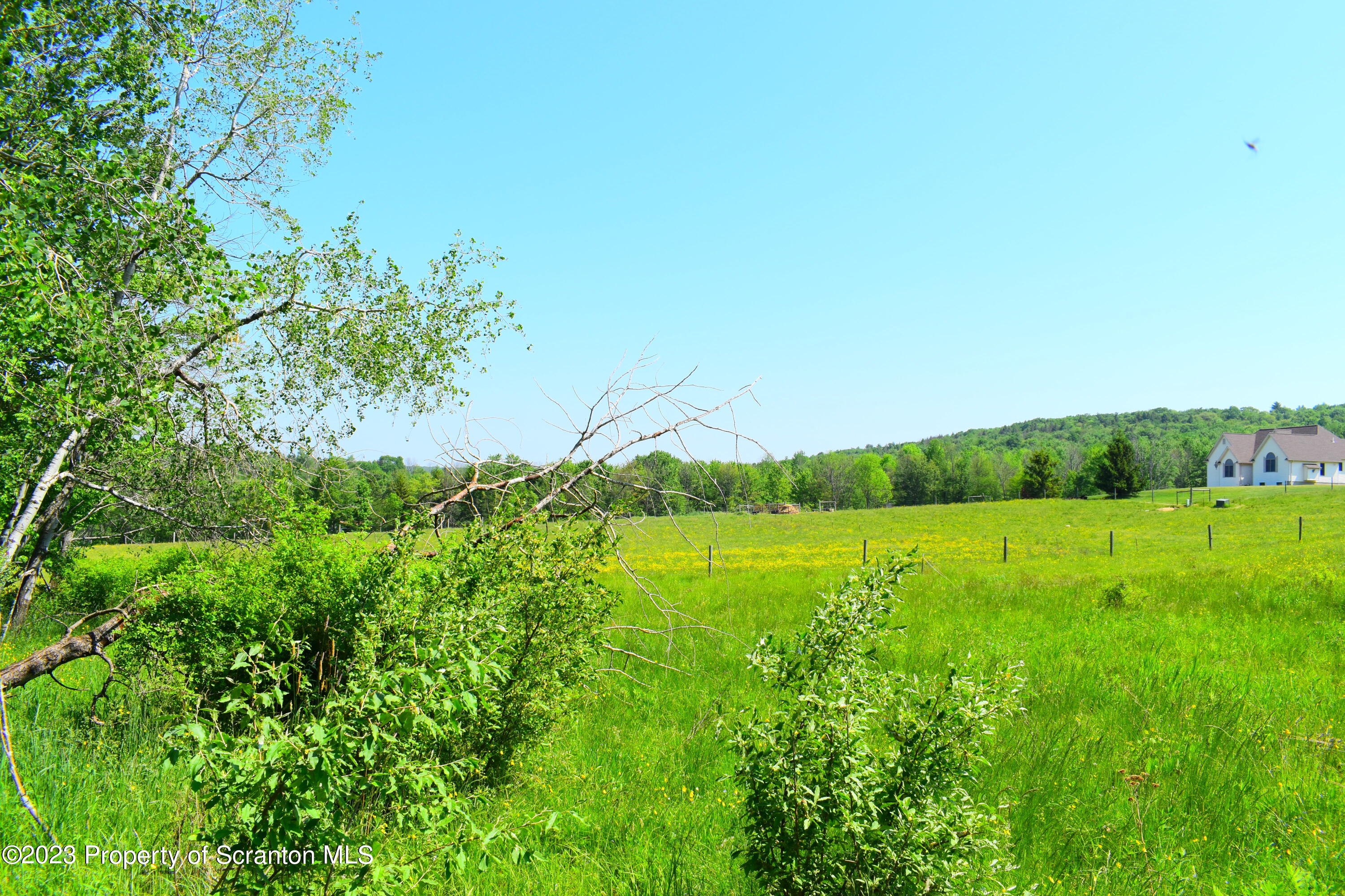 510 Hawranick Road Brackney, PA 18812 - Photo 3 of 76 a view of an outdoor space and a yard