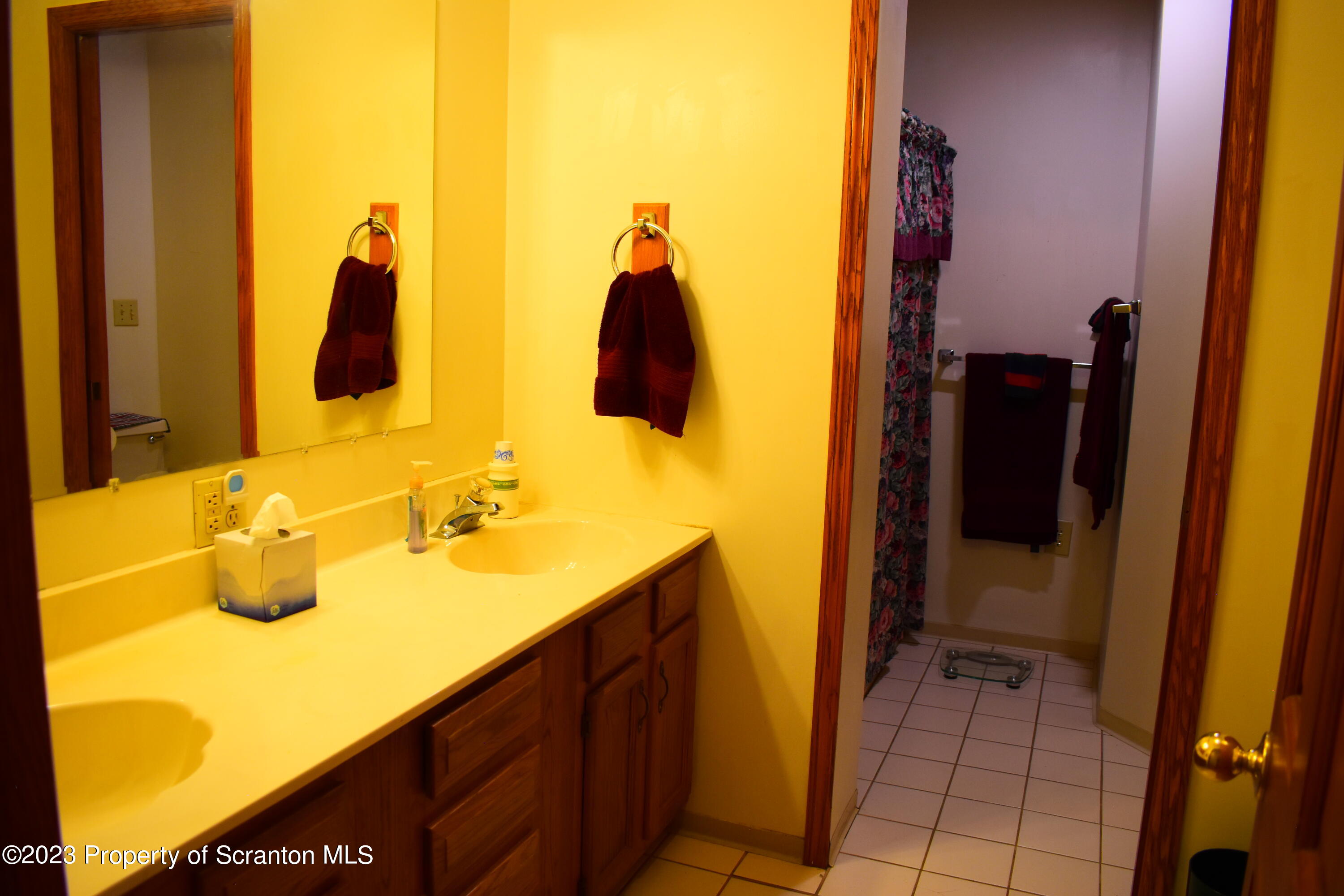 510 Hawranick Road Brackney, PA 18812 - Photo 38 of 76 a bathroom with a sink and mirror