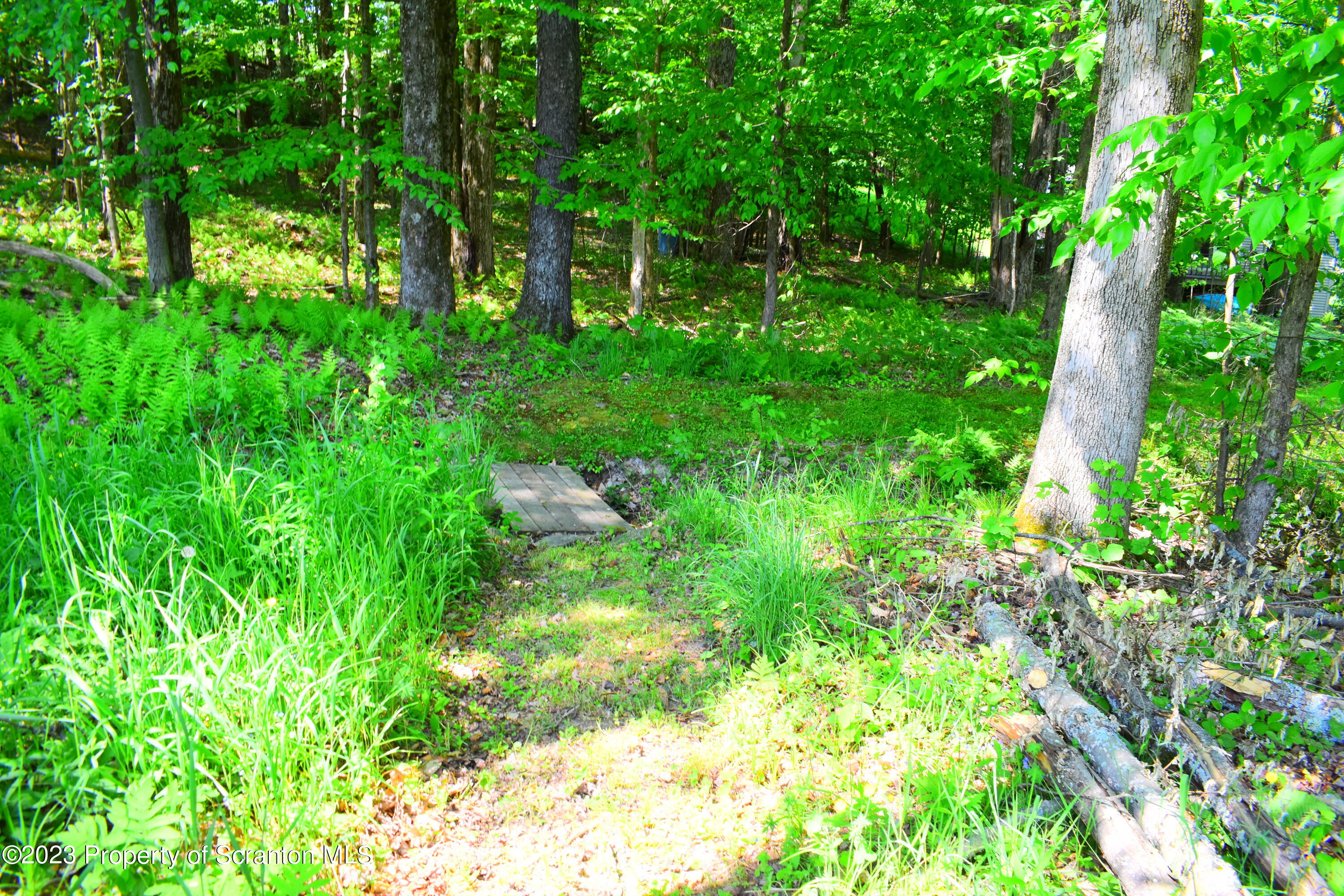 510 Hawranick Road Brackney, PA 18812 - Photo 58 of 76 a backyard of a house with lots of green space and a fountain