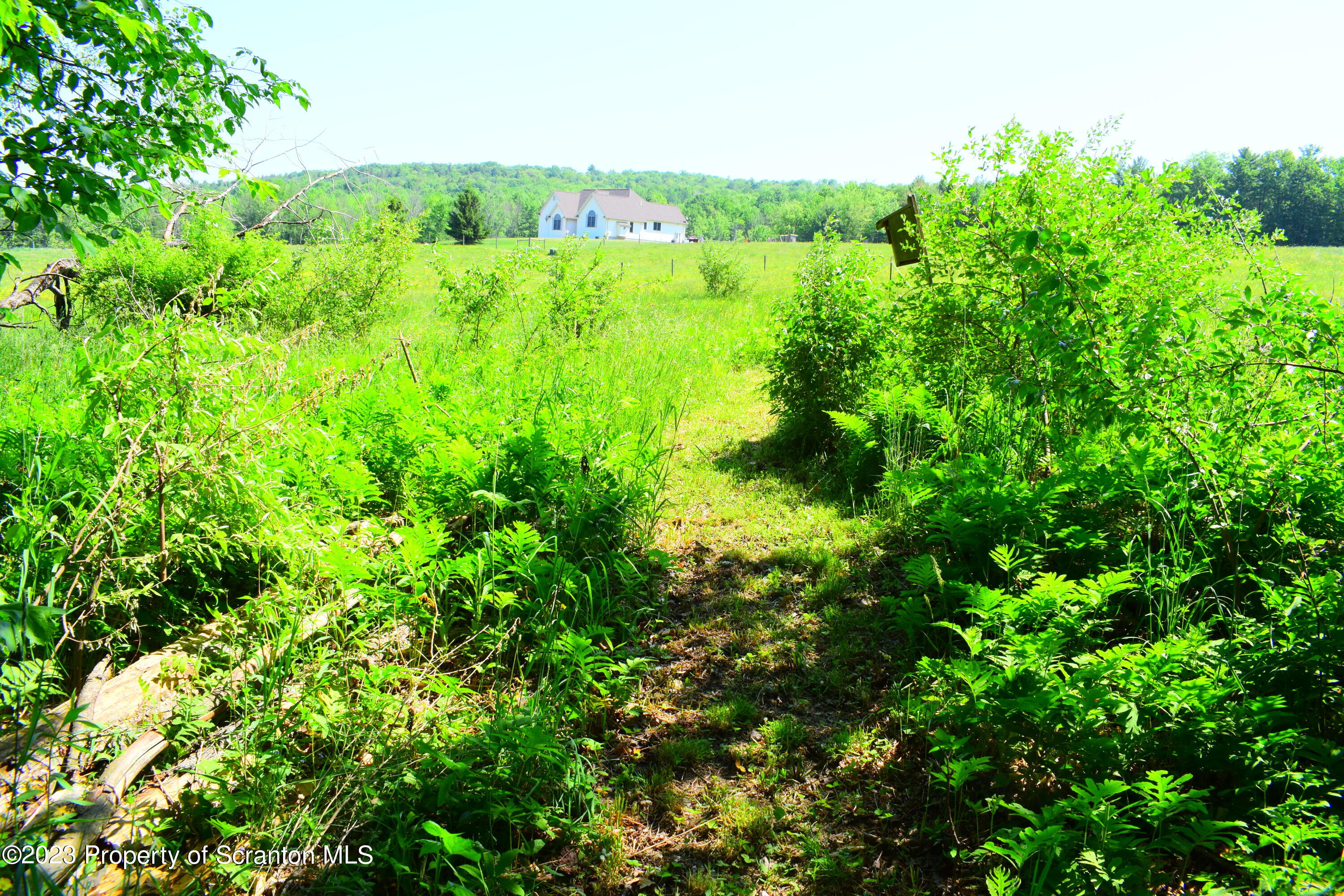 510 Hawranick Road Brackney, PA 18812 - Photo 59 of 76 a view of a lush green forest with lots of trees