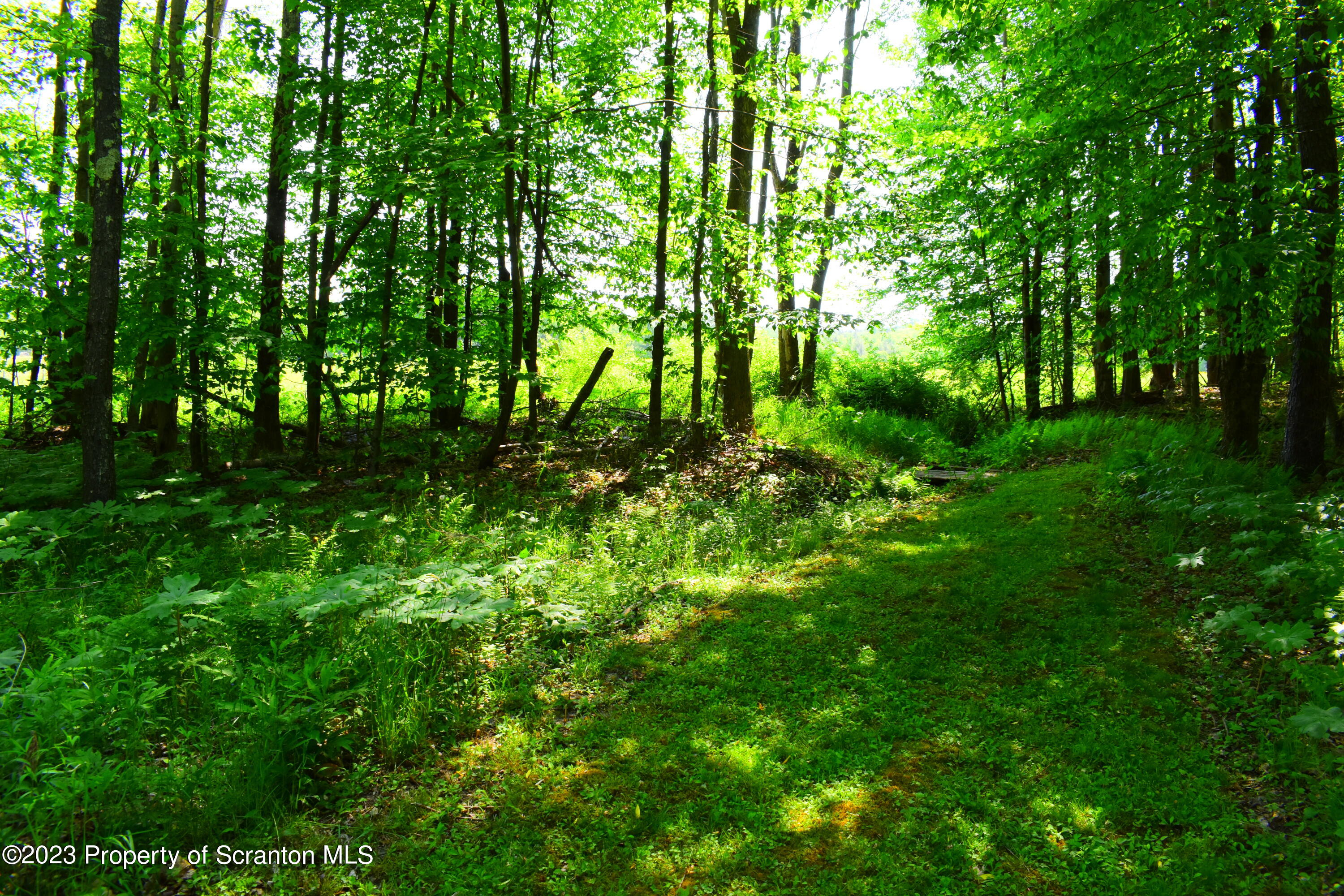 510 Hawranick Road Brackney, PA 18812 - Photo 61 of 76