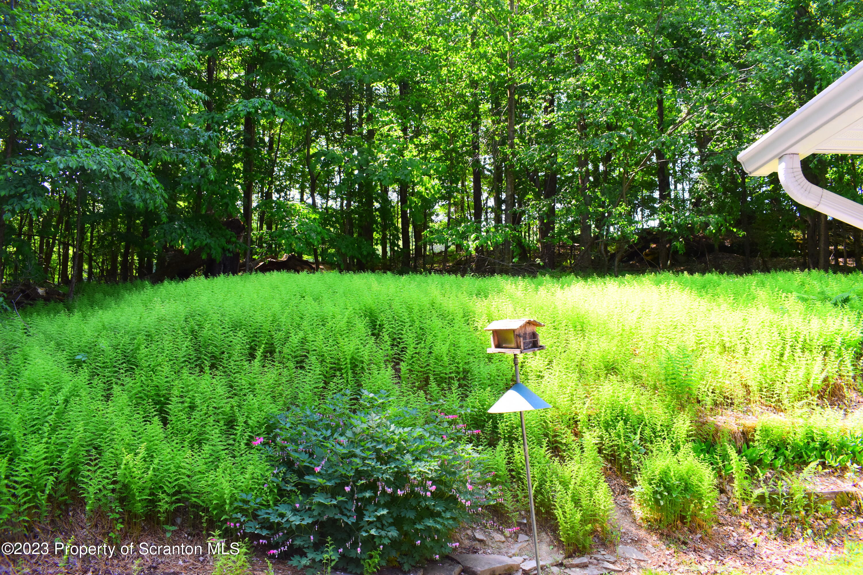 510 Hawranick Road Brackney, PA 18812 - Photo 63 of 76