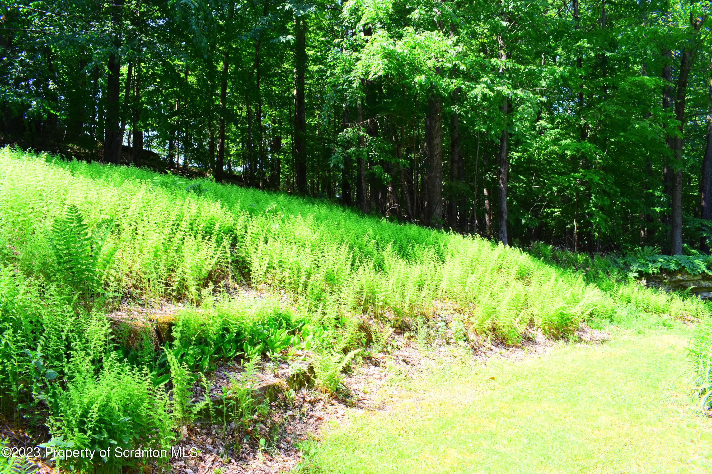 510 Hawranick Road Brackney, PA 18812 - Photo 64 of 76